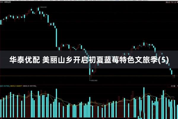 华泰优配 美丽山乡开启初夏蓝莓特色文旅季(5)