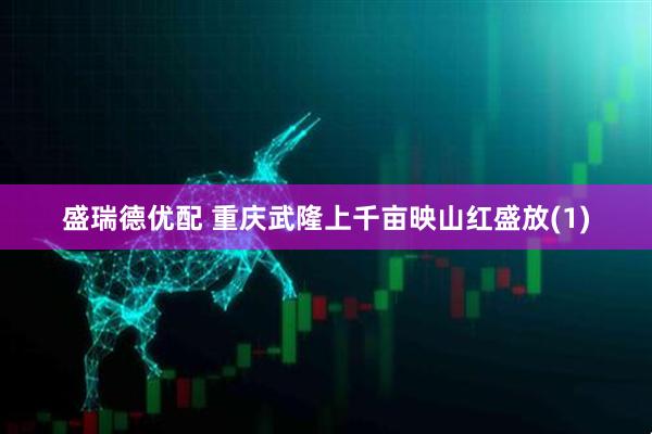 盛瑞德优配 重庆武隆上千亩映山红盛放(1)